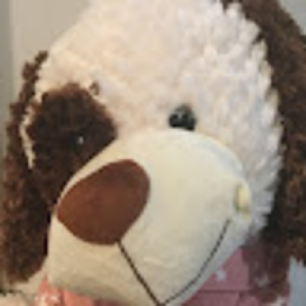 Meet your Posher, Puppy